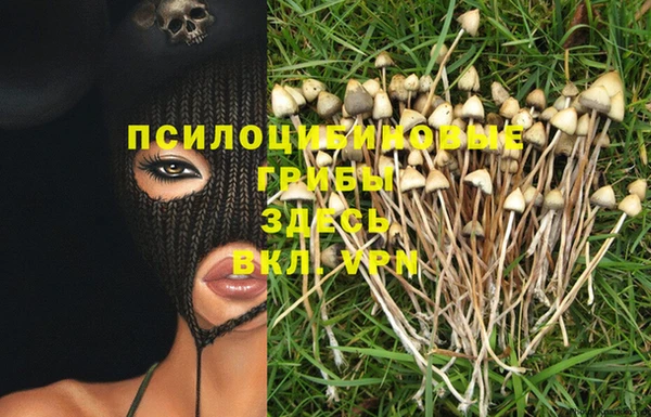 каннабис Алексеевка