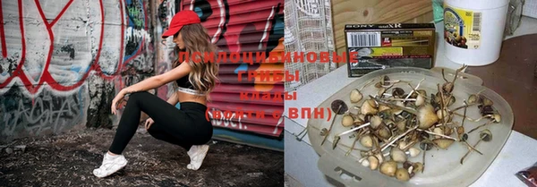 каннабис Алексеевка