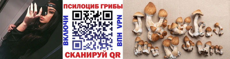 MEGA вход  Первоуральск  Галлюциногенные грибы мицелий 